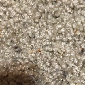 Meet your Posher, Halle